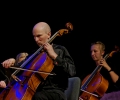 orkiestra-pro-musica-grupa-wiolonczel