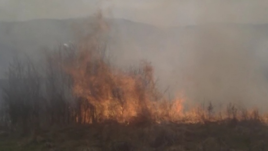 Paliły się łąki w Zagórzu. Ogień był blisko lasu (FILM, ZDJĘCIA)
