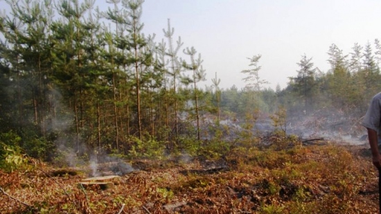 Najwyższy stopień zagrożenia pożarowego w podkarpackich lasach (ZDJĘCIA)