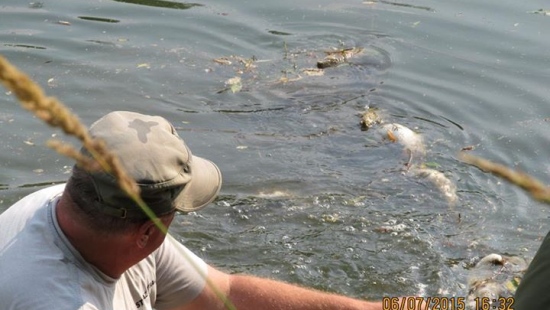 Trwa walka z kłusownikami na Sanie. 40 kg ryb w 50 metrowej sieci (ZDJĘCIA)