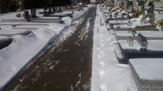 INTERWENCJA: Alejki na Cmentarzu Północnym to „jedno wielkie bagno!” (ZDJĘCIA)