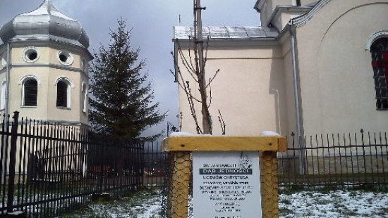 Uczestnicy międzybrodzkiej ekumenii zasadzili dąb jedności uczniów Chrystusa