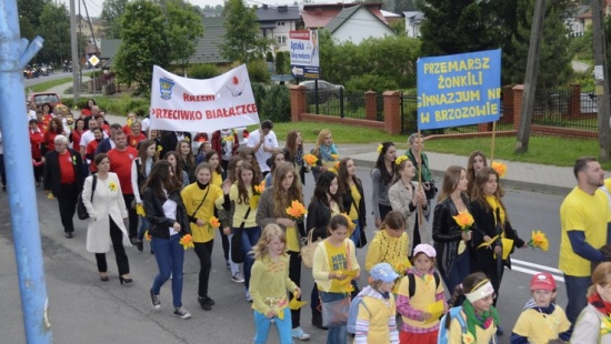 Kolorowy marsz ulicami Brzozowa. Za nami V Akcja Żonkilowa (ZDJĘCIA)