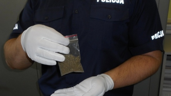 28-latek przechowywał w domu 7 gramów marihuany. Grozi mu do 3 lat więzienia