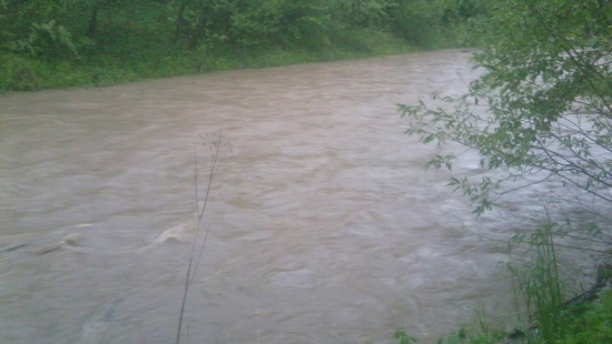 Z OSTATNIEJ CHWILI GODZ. 20:40: Rośnie poziom wód w rzekach. Osława przekroczyła już stan alarmowy (ZDJĘCIA)
