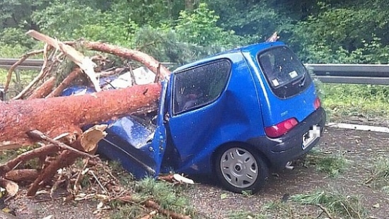 Drzewo spadło na samochód. Nie żyje 36-letnia kobieta