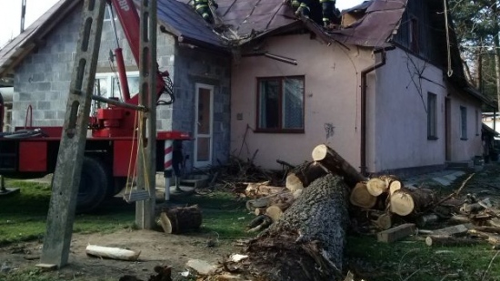 Drzewo zniszczyło budynek mieszkalny, w którym mieszka 10 osób (ZDJĘCIA)
