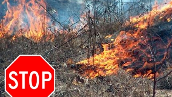 Pożar podpalonych łąk. Potrzebna interwencja trzech załóg straży pożarnej