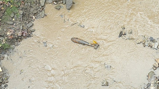 Bomba lotnicza w jednej z bieszczadzkich rzek (ZDJĘCIA)